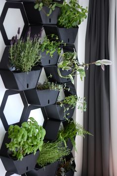 a black hexagonal planter with plants growing in it and hanging on the wall