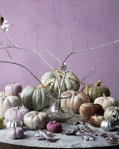 there are many small pumpkins on the table