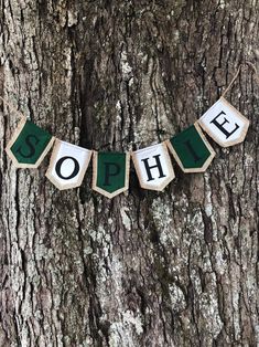 a wooden sign that says sophel hanging on a tree