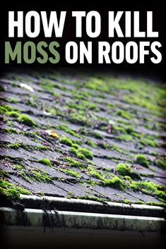 moss growing on the side of a building with text overlaying how to kill moss on roofs