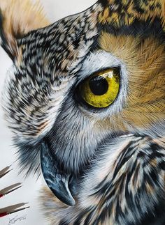 an owl with yellow eyes is shown in this drawing