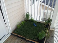 the grass is growing out of the bottom half of the planter on the porch