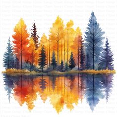 watercolor painting of trees and the lake