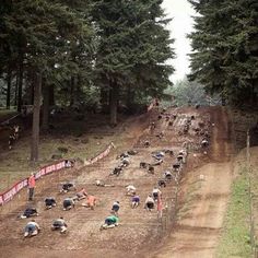 a dirt bike race going down a hill with trees in the backgrouds