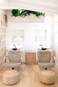 two chairs in a room with plants on the wall