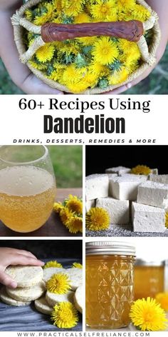 the instructions for how to make dandelion flowers with bread and honey in them