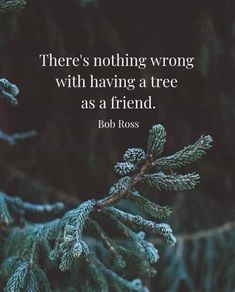 there's nothing wrong with having a tree as a friend quote by bob ross