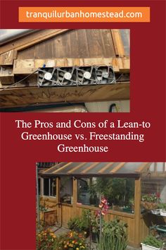 the pros and cons of a lean - to greenhouse vs freestanding greenhouse