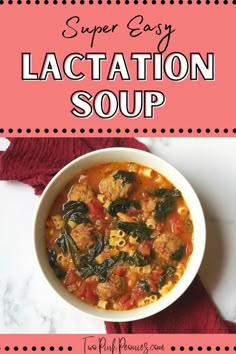 Image with text that says, "super easy lactation soup" with an image of soup in a bowl and a red linen below it. Family Meal Prep, Nutrient Dense Foods, Yummy Veggies, Recovery Food, Meal Prep Snacks