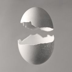 an egg shell with the shape of a bird in it