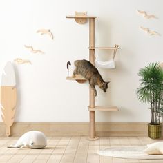 a cat climbing up the side of a tree in a room with birds flying around