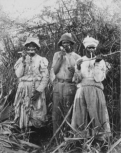 three people standing next to each other in tall grass