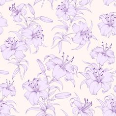 purple flowers on a white background are drawn by hand in pencil and then painted with watercolors