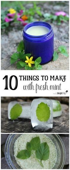 the top ten things to make with fresh mint