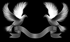 two white doves with ribbon on black background