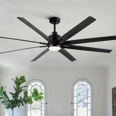 a ceiling fan in a living room with two large windows and a potted plant