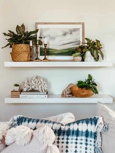 two white shelves with plants and books on them