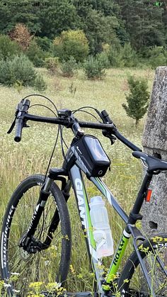 a bicycle parked next to a tree in a field with tall grass and trees behind it