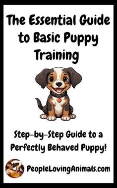 Step-by-step guide to basic puppy training for a perfectly behaved puppy!  Great for new or first time puppy owners!

Puppy training ebook, puppy training books, puppy training program, how to train a puppy, train puppies Train A Puppy, How To Train