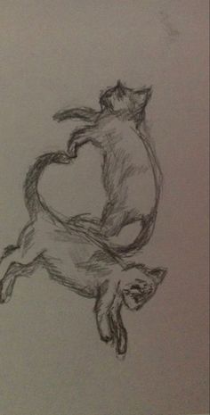 a pencil drawing of a cat and a dog jumping up in the air with their tails curled around each other