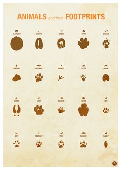 an animal's footprints are shown in this poster