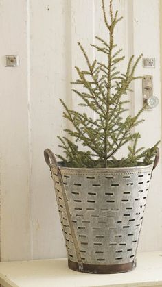 a small christmas tree in a metal basket