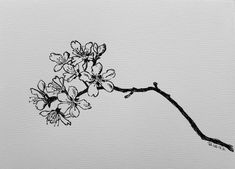 a black and white drawing of a branch with flowers