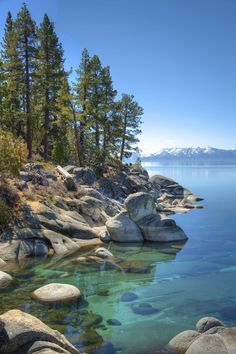 the water is crystal blue and there are rocks on the shore with trees in the background