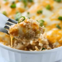 a spoon full of cheesy chicken casserole