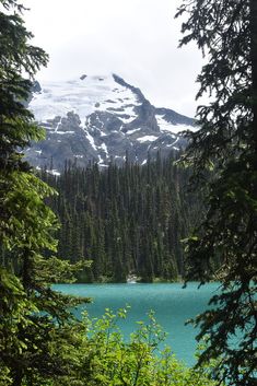 a lake surrounded by trees and snow capped mountain in the background with evergreens on both sides