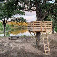 a treehouse built into the side of a tree near a lake with a ladder leading up to it