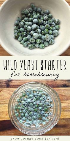 a bowl filled with green vegetables and the words wild yeast starter for homebrewing