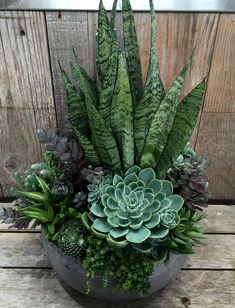 an arrangement of succulents and plants in a bowl on a wooden table