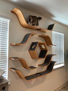 a cat sitting on top of a wooden shelf