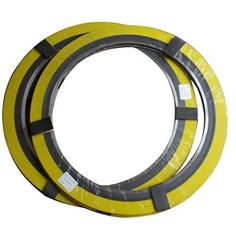 two yellow and gray rings with black stripes on each side, one in the middle