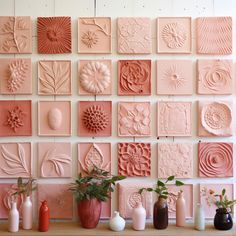 many different shapes and sizes of flowers are displayed on the wall