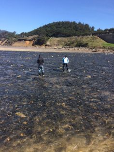 two people standing in shallow water on the beach