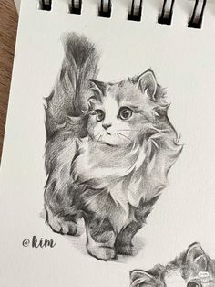 a pencil drawing of two cats sitting next to each other on a piece of paper