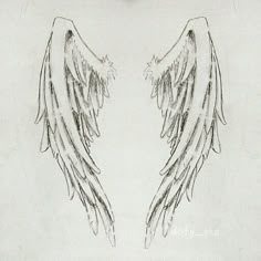 two angel wings drawn in pencil on white paper