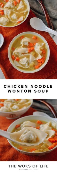 chicken noodle wonton soup is shown in two separate bowls