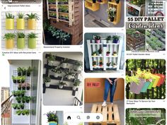 several different types of planters and containers with text overlay that reads, 55 diy pallet garden ideas