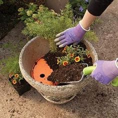 Porch Flower Pots, Front Porch Flower Pots, Planter Liners, Front Porch Flowers, Patio Flowers, Porch Flowers, Garden Plant Pots, Container Gardening Flowers