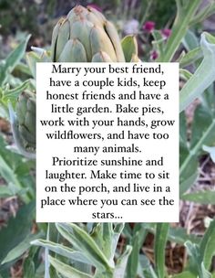 a quote from mary your best friend, have a couple kids, keep honest friends and have a little garden