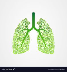 the lungs with green leaves on white background