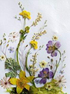 an arrangement of wildflowers and other flowers is displayed on a white background with the words