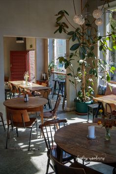 the interior of a restaurant with tables, chairs and potted plants in front of it