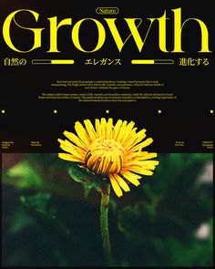 a yellow flower with the words growth written in english and japanese on it's front cover