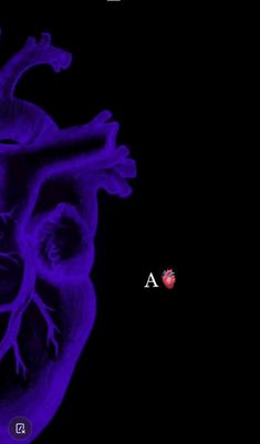 an animated heart is shown in the dark blue hued screengrac for adobe