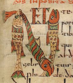 an old manuscript with fish on it and writing in latin script, from the 13th century