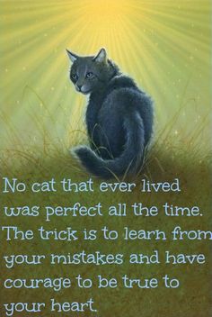 a cat sitting on top of a grass covered field next to a quote that reads, no cat that ever lived was perfect all the time